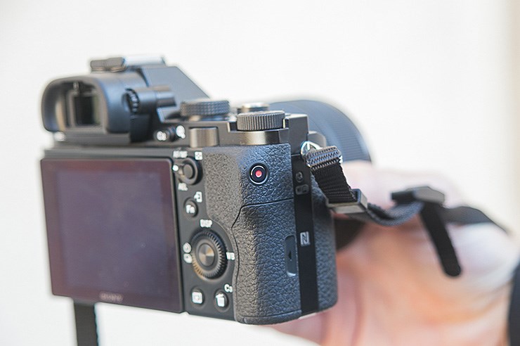 Sony A7 (10).jpg